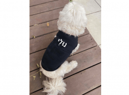 בגדים לכלבים – בגד לכלב עם שם בעברית