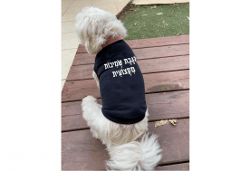 בגדים לכלבים – מתנה לכלב ולבעליו נוחר מוסמך